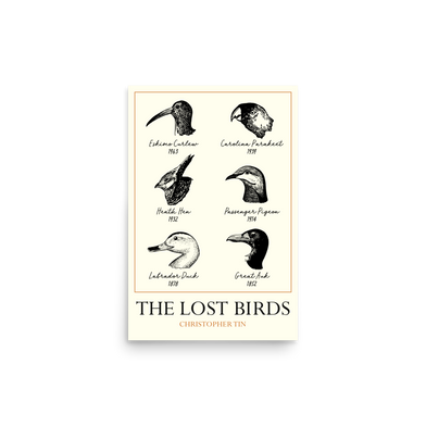 The Lost Birds Poster