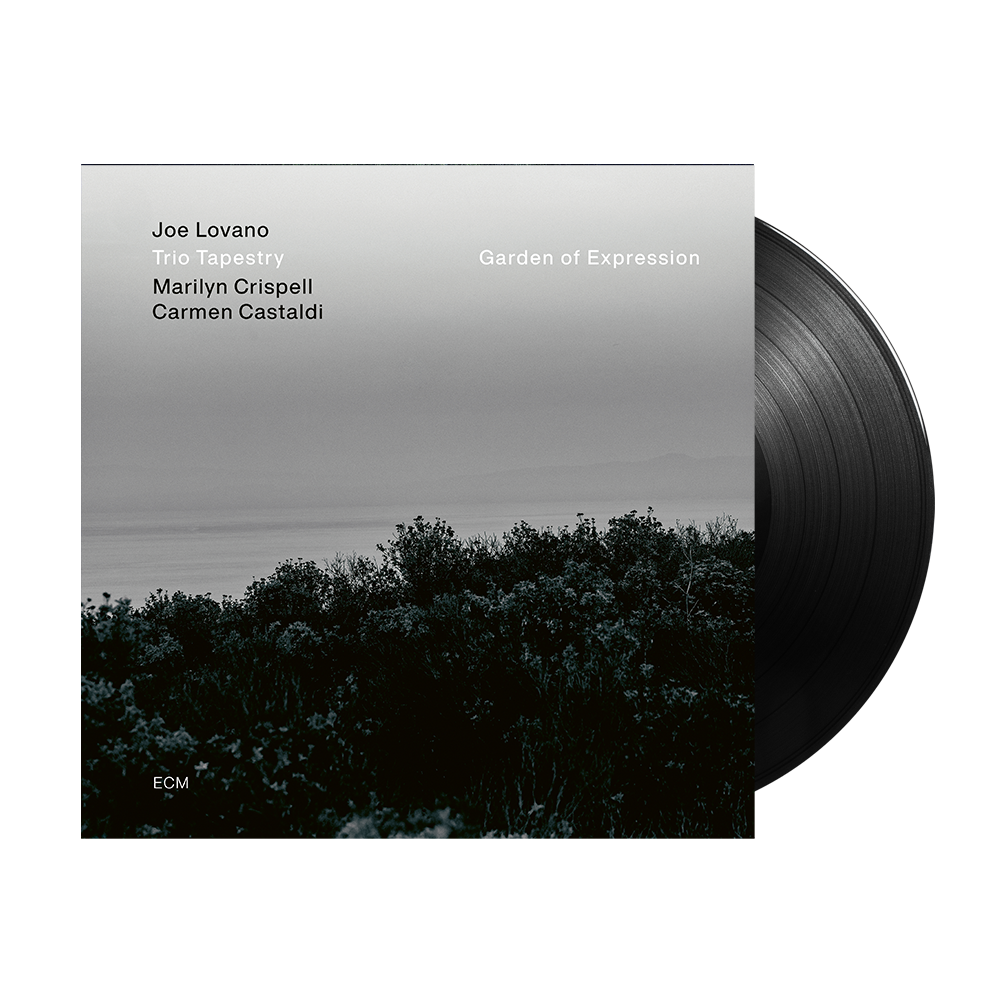 Joe Lovana: Garden of Expression LP