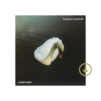 Undiscovered - Ludovico einaudi - UNIVERSAL CLASSIQUE - Double Album Vinyle  (2 LP) - Place des Libraires